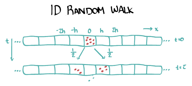 dynsys:reactdiffuse:randomwalk.png