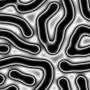 00255.jpg