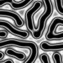00259.jpg