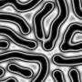 00265.jpg