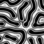 00267.jpg