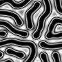 00276.jpg