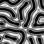 00290.jpg
