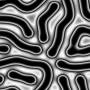 00299.jpg